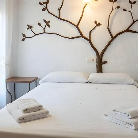 Apartment Cerca Del Mar Con Azotea Compartida *